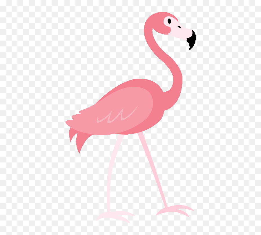 Flamingo Transparent Animated Picture - Transparent Animated Flamingo Gif Emoji,Pink Flamingo Emoji