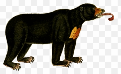 Bear With His Tongue Out - Sun Bear Clipart Emoji,Christmas Emojis