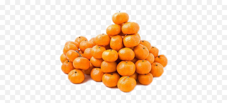 Trending Tangerine Stickers - Mandarin Oranges Emoji,Tangerine Emoji