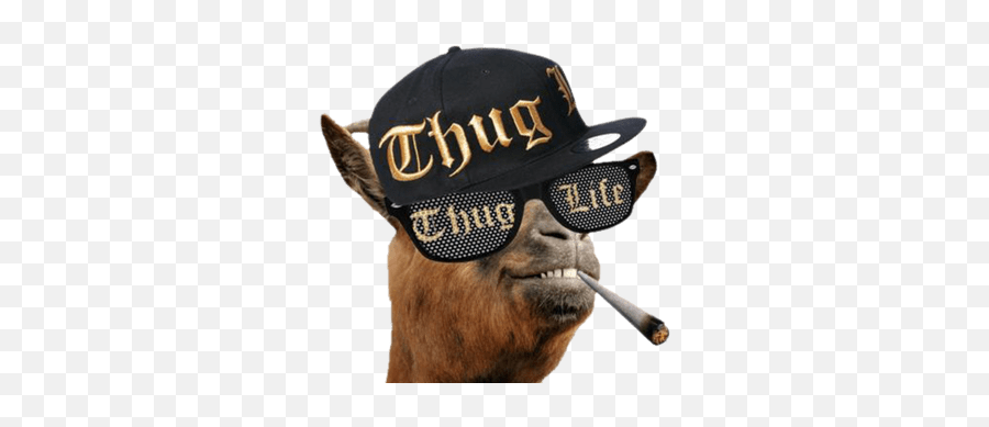 Thug Life - Thug Life Goat Emoji,Thug Life Emoji