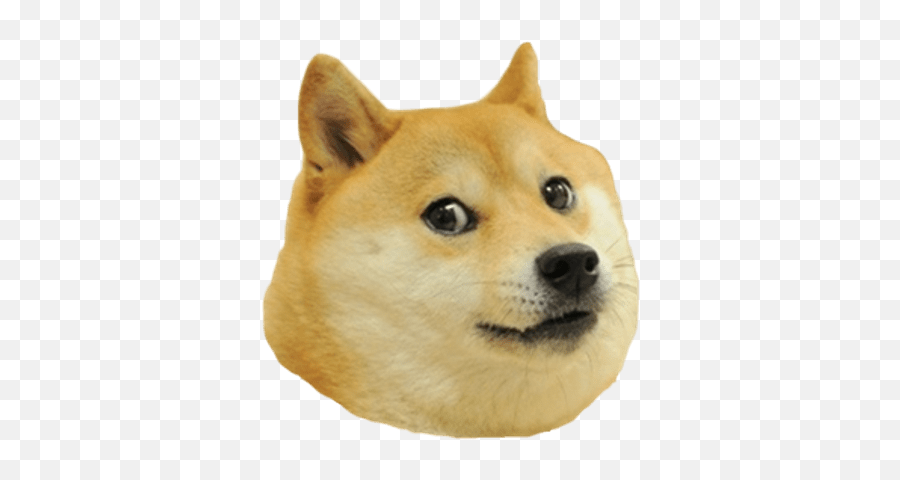 Shiba Inu Barking Transparent Png - Doge Transparent Background Emoji,Shiba Inu Emoji