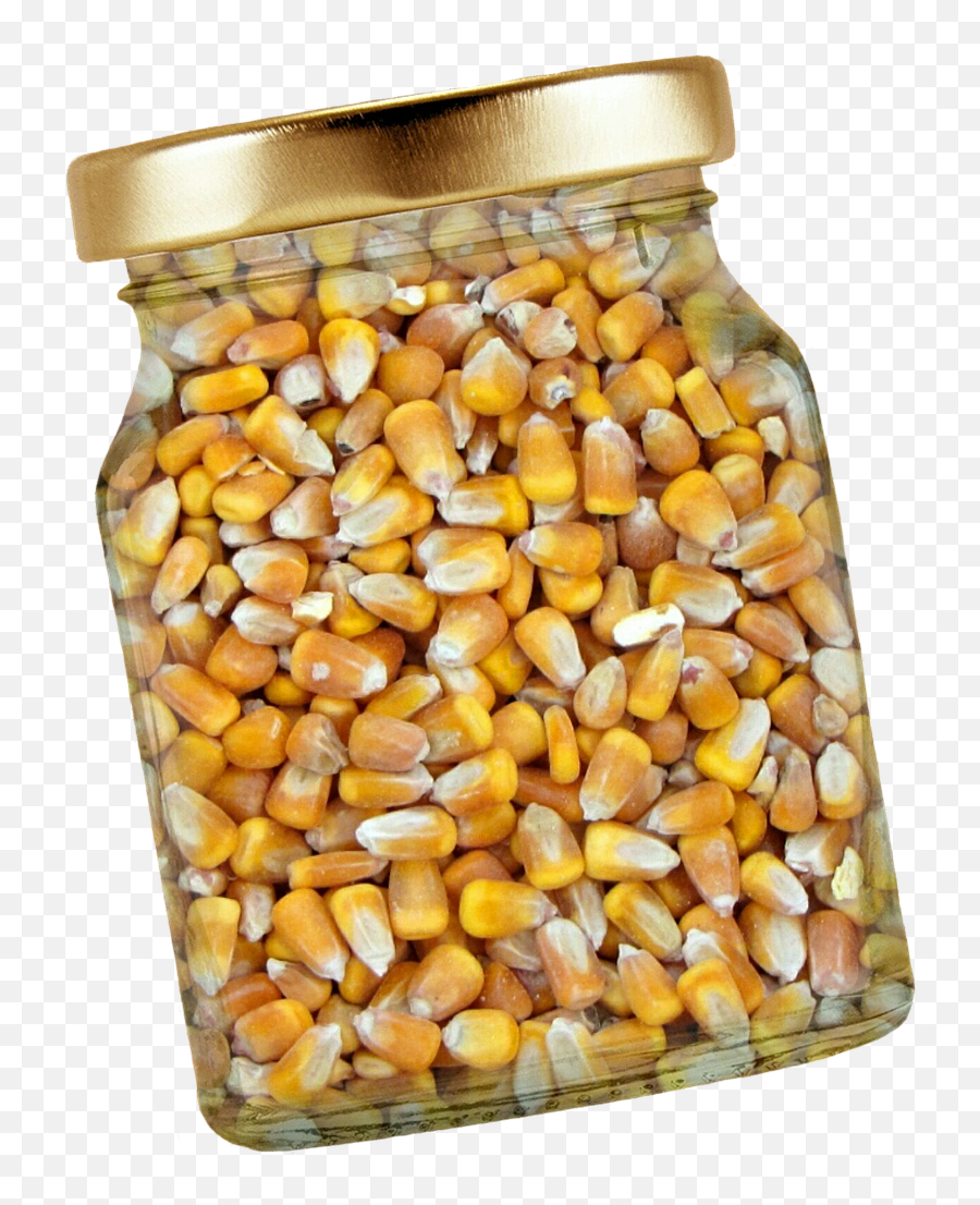 Corn Glass Lid Corn Kernels Isolated - Fill The Frame Emoji,Whiskey Glass Emoji