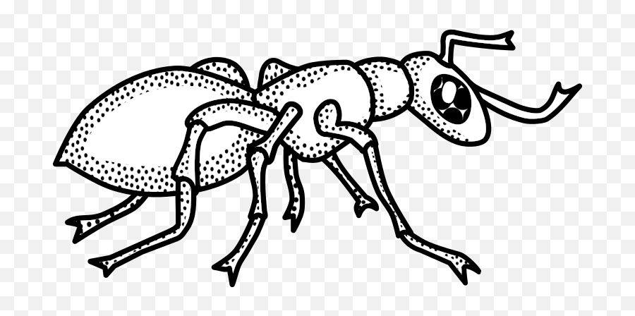 Outline Clipart Ant Outline Ant - Ant Clip Art Black And White Emoji,Ant Emoticon