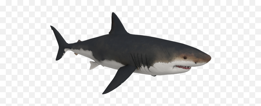 Tiger Shark Great White Shark Megalodon - Megalodon Shark Megalodon Shark Png Emoji,Shark Emoji