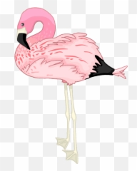 Clip Art - Transparent Flamingo Emoji,Flamingo Emoji