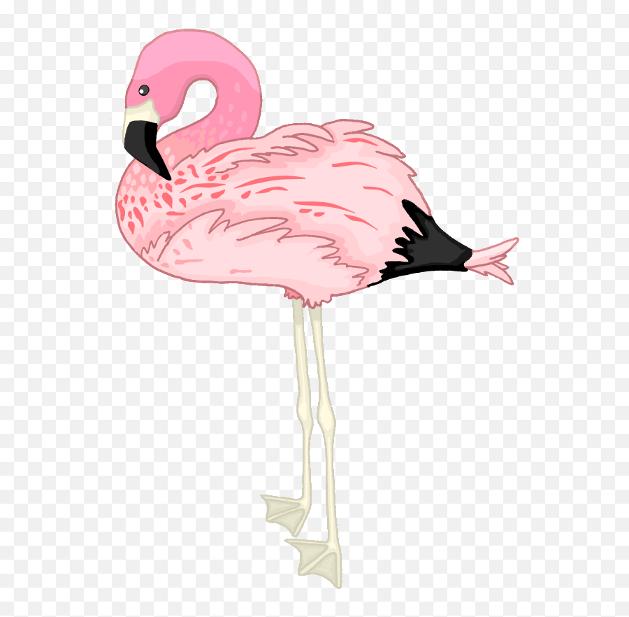 Clip Art - Transparent Flamingo Emoji,Flamingo Emoji