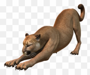 200 Free Tooth U0026 Dentist Illustrations - Pixabay Mountain Lion Png Emoji,Cougar Emoji