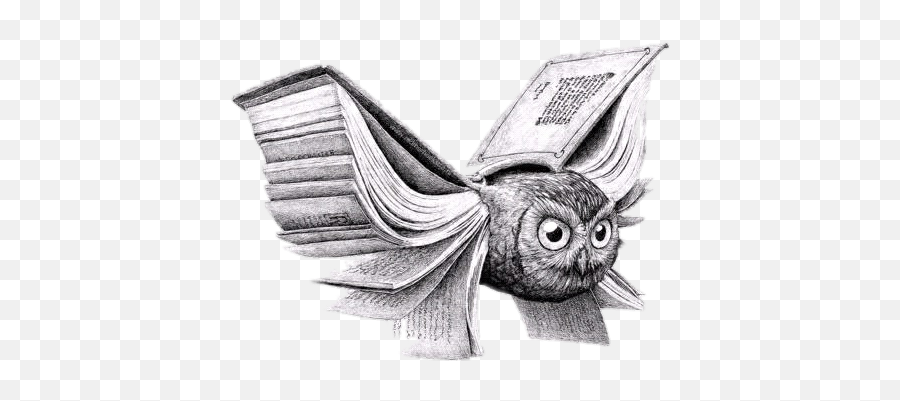 Owl Flying Books - Surrealism Drawings Emoji,Money Flying Away Emoji