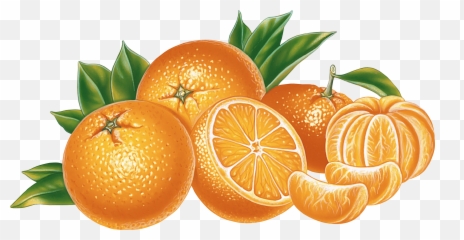 Orange And Mandarin Png Image - Orange Png Emoji,Tangerine Emoji