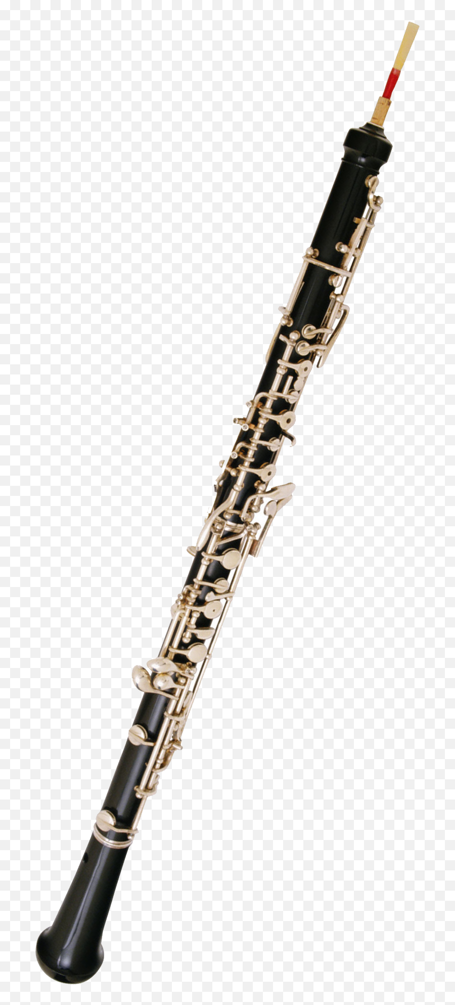 Bass Oboe Related Keywords Suggestions - Transparent Oboe Png Emoji,Clarinet Emoji