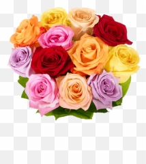 Inexpensive Flowers FromYouFlowers - One Dozen Rainbow Roses Emoji