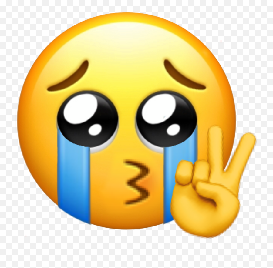 Crying Emoji Reaction Meme