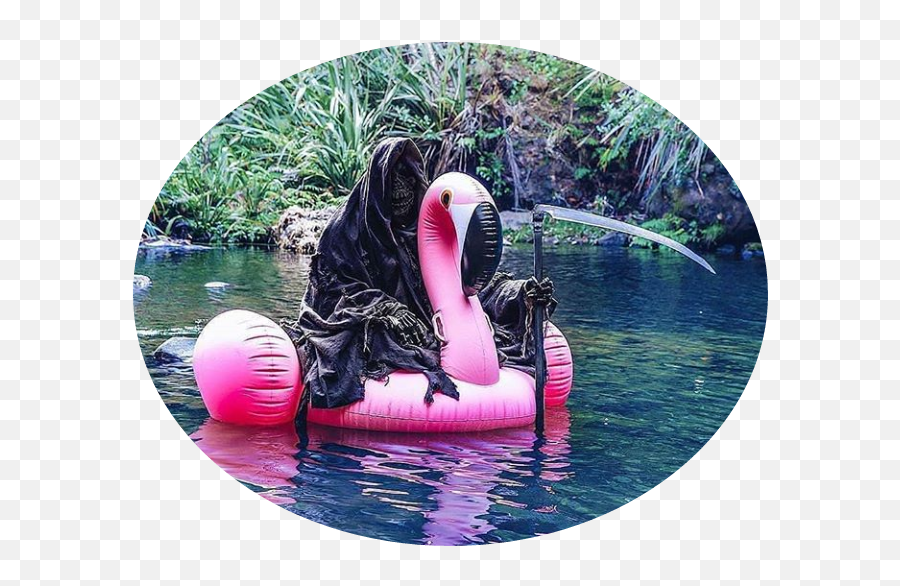 Flamingo Grimreaper Grim Reaper Dark Death - Death Riding A Flamingo Emoji,Grim Reaper Emoji