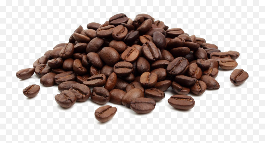 Coffee Bean Cafe - Coffee Bean Transparent Background Emoji,Coffee Bean Emoji