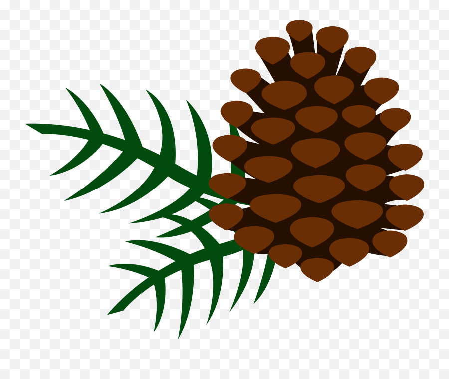 Outlines - Pine Cone Clipart Png Transparent Png Full Size Clip Art Pine Cone Emoji,Pine Tree Emoji