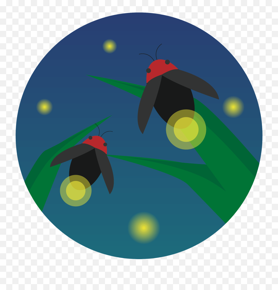 Firefly Insect Clipart Emoji,Firefly Emoji