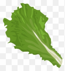 Lettuce Clip Art 2 - Lettuce Clipart Transparent Background Emoji,Lettuce Emoji