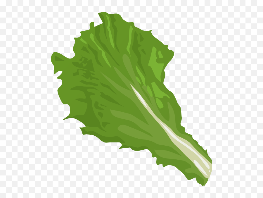 Lettuce Clip Art 2 - Lettuce Clipart Transparent Background Emoji,Lettuce Emoji