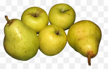 Yellow Transparent Apples Emoji,Pear Emoji