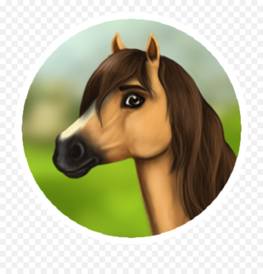 Spirit Starstable Sso Starstablehorses - Sorrel Emoji,Night Horse Emoji