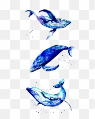 Whale Bluewhale Whales Whaletale - Whale Emoji,Blue Whale Emoji