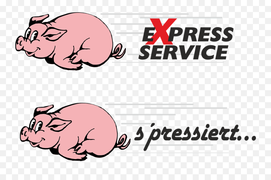 Races Bitch Pig Speed - Pig Speed Emoji,Pig Money Emoji