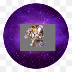The Newest fet Stickers on PicsArt - Circle Emoji
