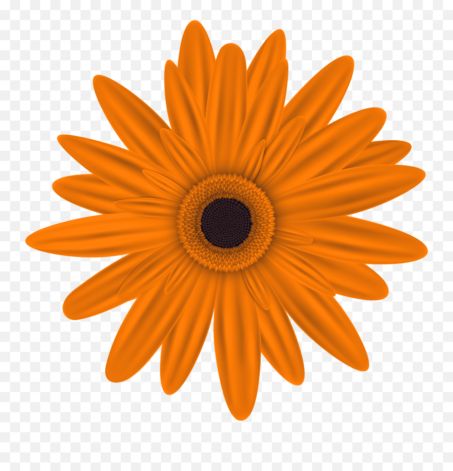 Orange Flowers Clipart - Yellow Flower Clipart Transparent Background Emoji,Orange Flower Emoji