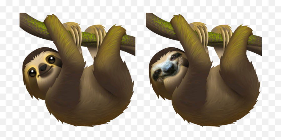 The Sloth Emoji In - There Any New Emojis In Ios 13,Sloth Emoji