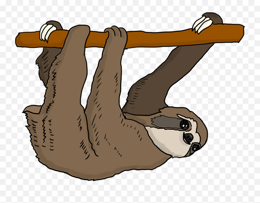 Tree Sloth Hanging Cute Mammal - Anything You Can Do I Can Do Slower Emoji,Upside Down Happy Face Emoji