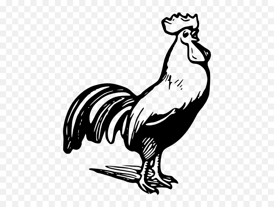 Chicken And Rooster Clipart Kid 2 - Rooster Black And White Clipart Emoji,Rooster Emoji