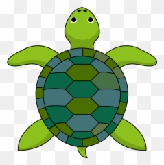 Free Turtle Png Clipart Download Free - Tortoise Clipart Emoji,Sea Turtle Emoji