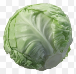 Vegetable Clipart Lettuce Picture - Cartoon Transparent Cabbage Png Emoji,Lettuce Emoji