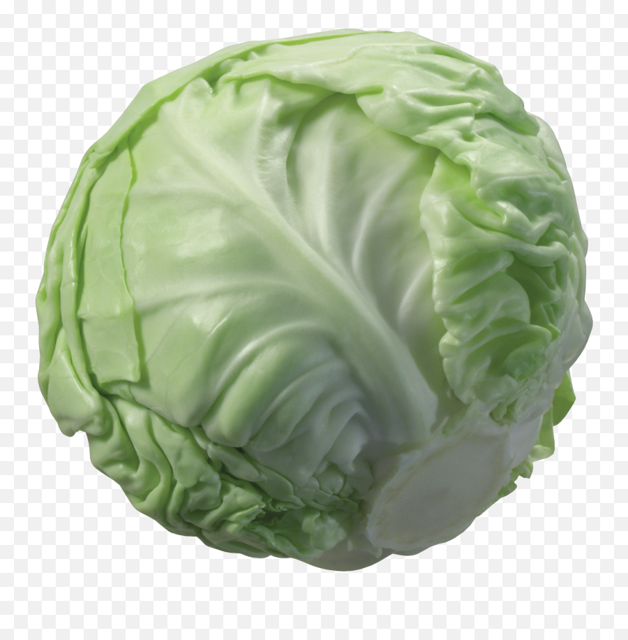 Vegetable Clipart Lettuce Picture - Cartoon Transparent Cabbage Png Emoji,Lettuce Emoji