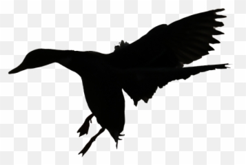 Entensilhoutte Flight Flying Duck - Duck Hunting Clip Art Orange Emoji,Chicken Wings Emoji