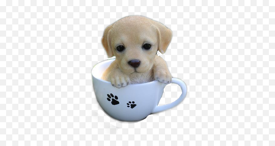 Paws Cup Puppy Dog Mug Pet Gift - Beautiful Cute Animal Emoji,Coffee Dog Emoji