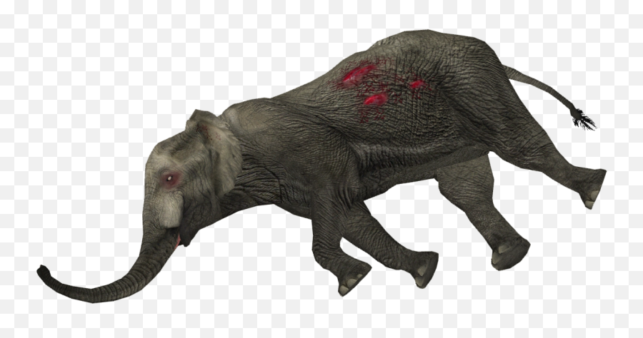 Dead Elephant - Dead Animal Png Transparent Png Elephant Dead Elephant Clipart Emoji,Sweatdrop Emoji