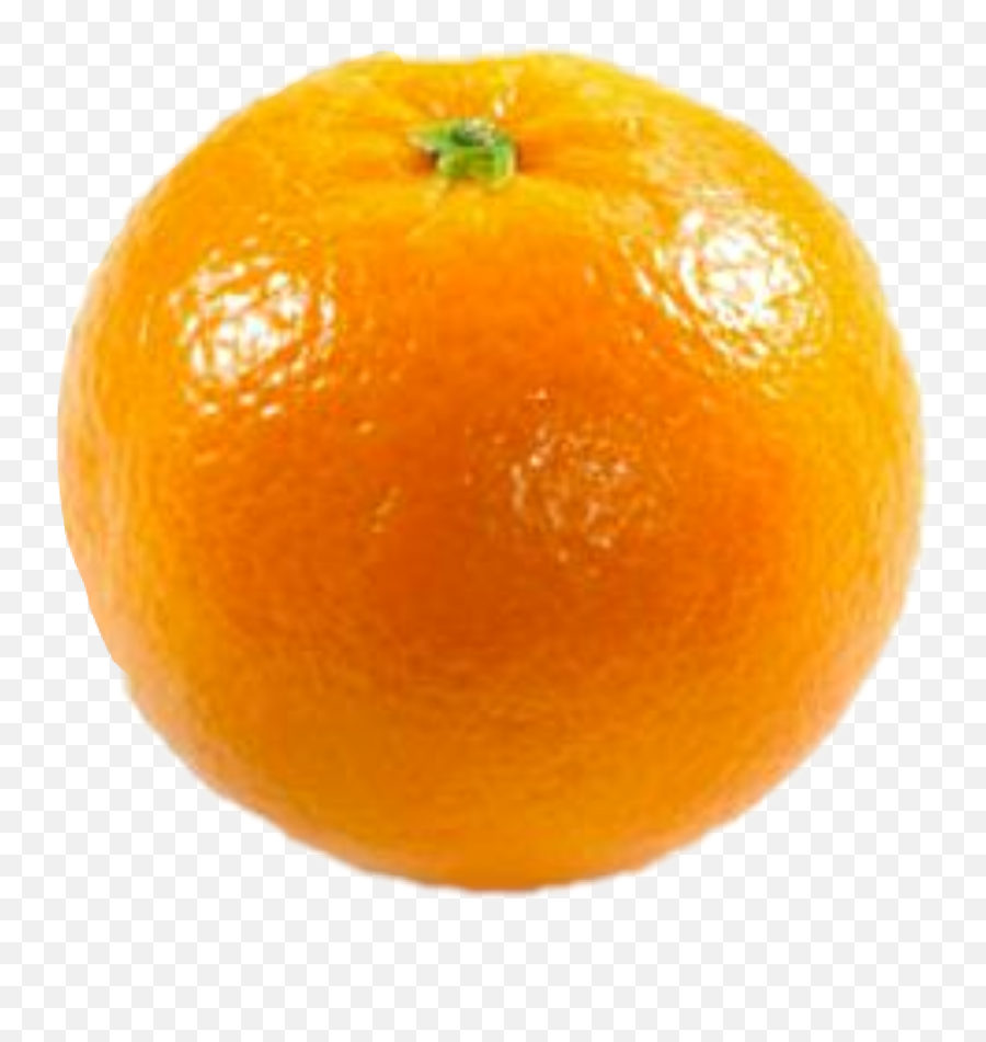 Trending Tangerine Stickers - Orange Emoji,Tangerine Emoji