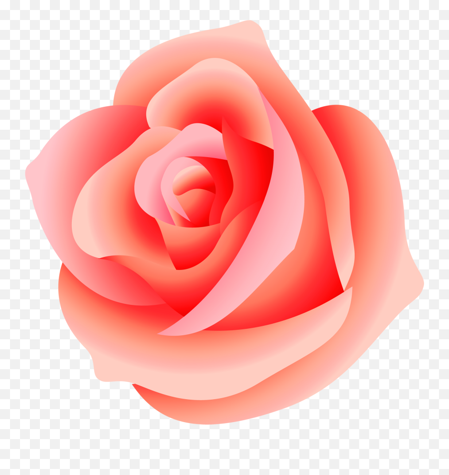 Free Pink Rose Transparent Background - Peach Rose Rose Clipart Emoji,Pink Rose Emoji