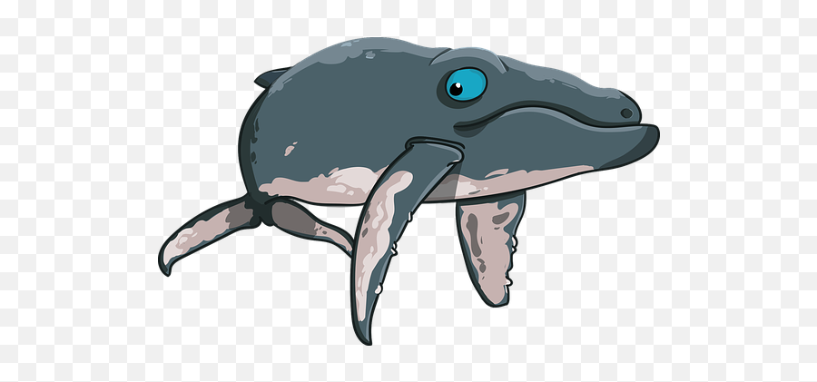 Free Blue Whale Whale Images - Valentines Whale Emoji,Blue Whale Emoji