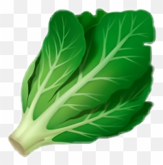 Emoji Ios12 Ios12emoji - Lettuce Emoji,Lettuce Emoji