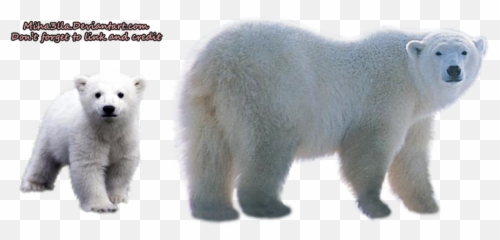 Polar Bear Clip Art - Clipart Transparent Background Polar Bear Emoji,Polar Bear Emoji