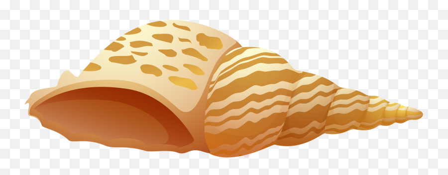 Clip Art Shell Png - Sea Shell Clipart Png Emoji,Seashell Emoji