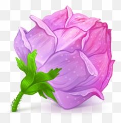 Box 22 Rose Pink Icon Cubes Art Iconset Klukeart - Ícone De Ursinho Rosa Do Computador Emoji,Pink Rose Emoji