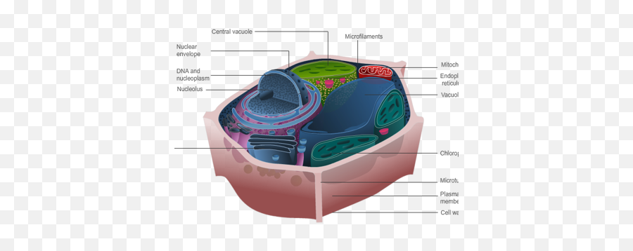 Vivek Sivaraman - Diagram Emoji,Jet Ski Emoji