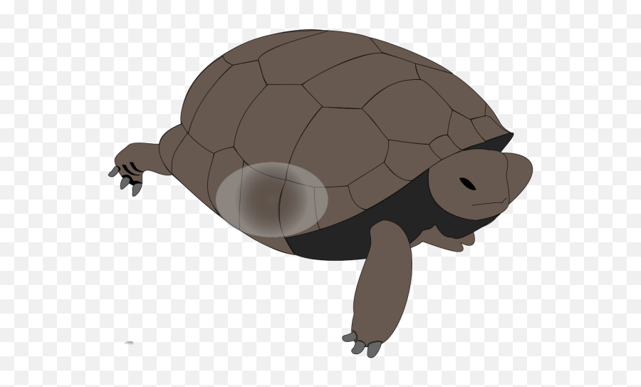 Sea Turtle Png Svg Clip Art For Web - Download Clip Art Clip Art Emoji,Tortoise Emoji