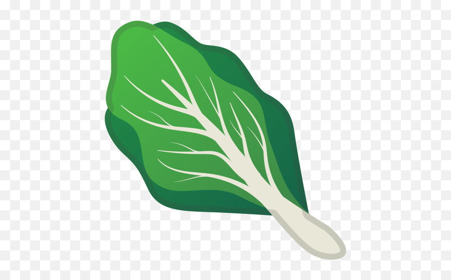 Leafy Green Emoji - Emoji Android Food,Lettuce Emoji