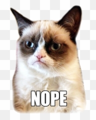 Sad Cat Png Picture - Funny Animals For Valentines Day Emoji