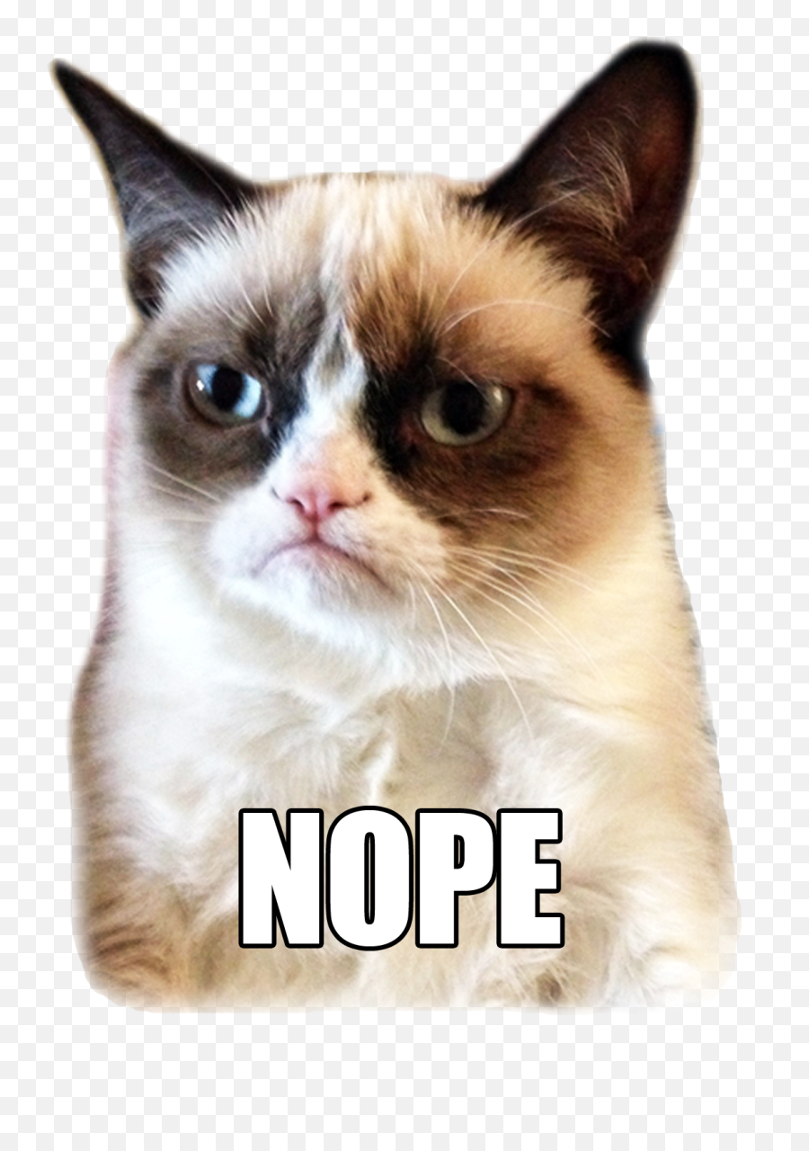 Sad Cat Png Picture - Funny Animals For Valentines Day Emoji,Sad Cat Emoji
