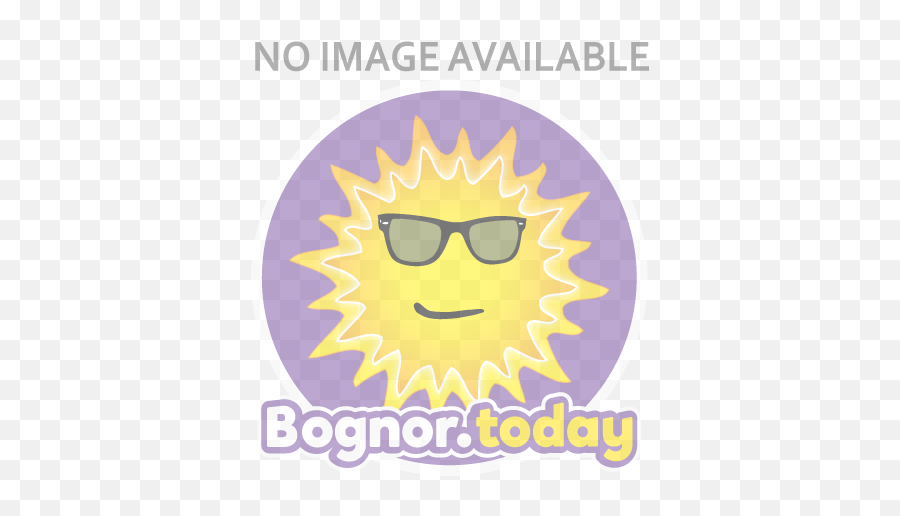 Bognor Regis Dog Club - Poster Emoji,Dog Emoticon Text